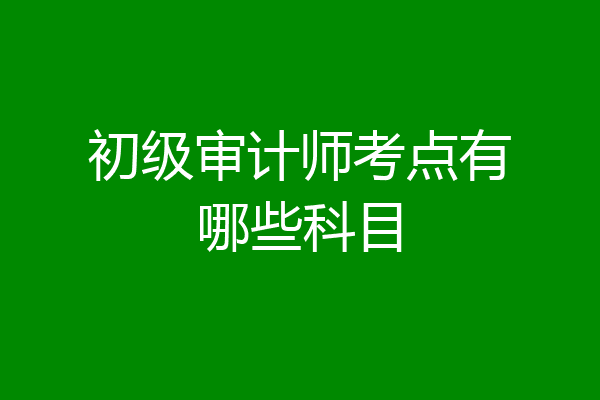 初级审计师考点有哪些科目