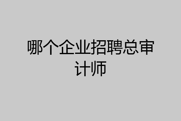 哪个企业招聘总审计师