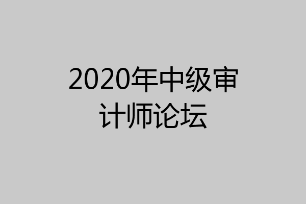 2020年中级审计师论坛