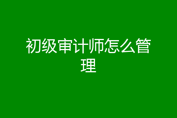 初级审计师怎么管理
