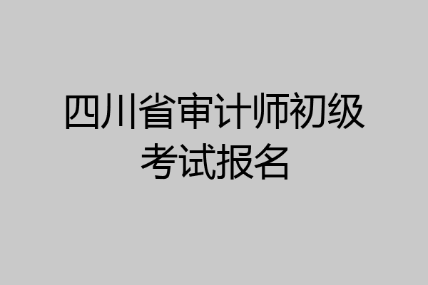 四川省审计师初级考试报名
