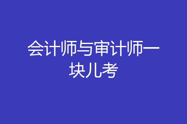 会计师与审计师一块儿考