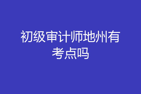 初级审计师地州有考点吗