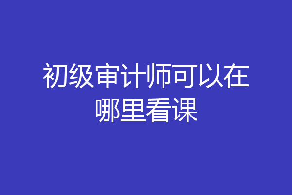 初级审计师可以在哪里看课