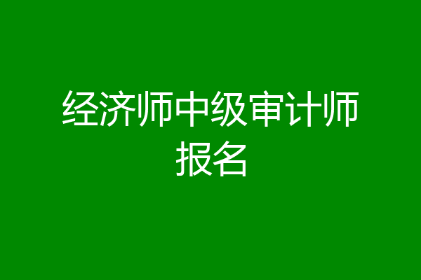 经济师中级审计师报名