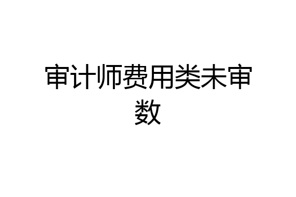 审计师费用类未审数