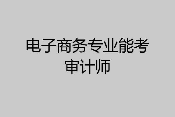 电子商务专业能考审计师