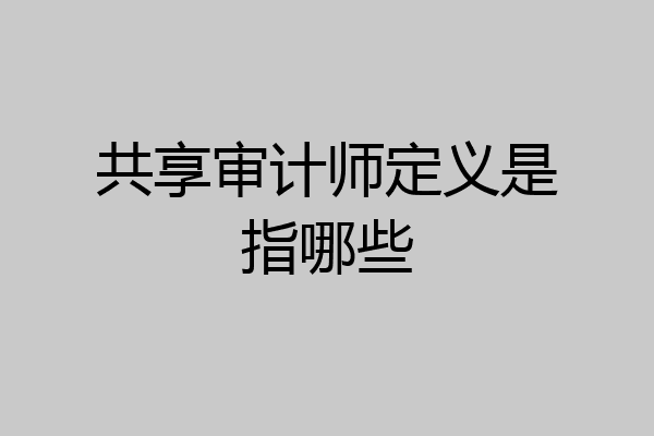 共享审计师定义是指哪些
