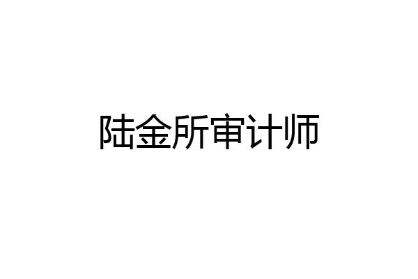 陆金所审计师