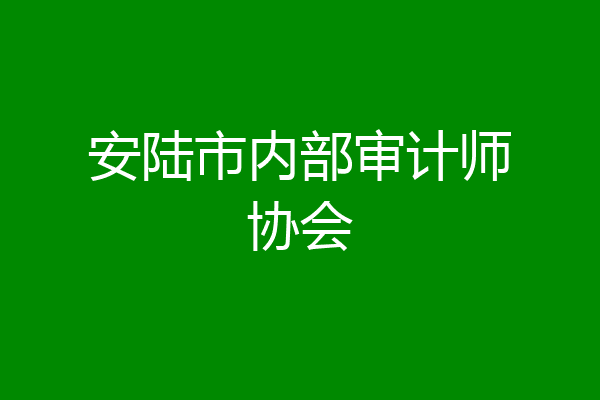 安陆市内部审计师协会