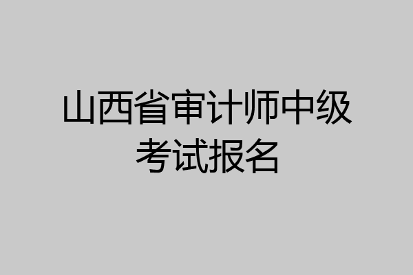 山西省审计师中级考试报名