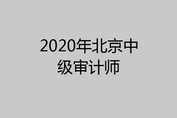 2020年北京中级审计师