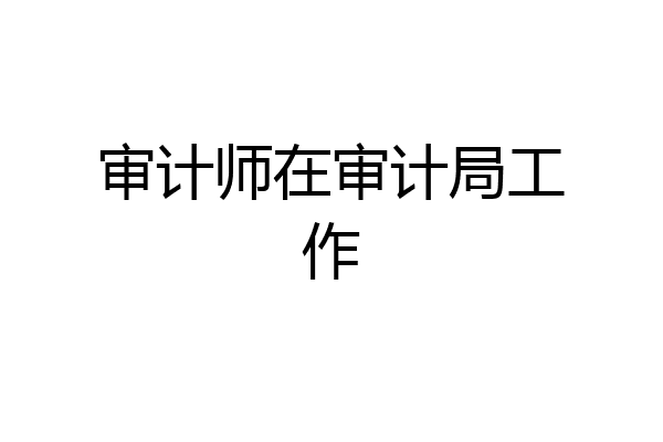审计师在审计局工作