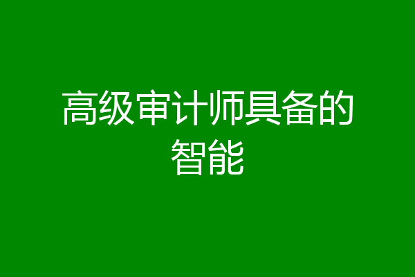 高级审计师具备的智能