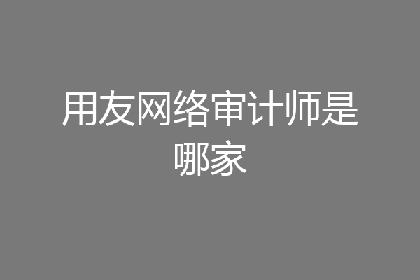 用友网络审计师是哪家