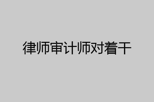 律师审计师对着干