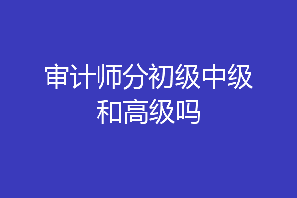 审计师分初级中级和高级吗