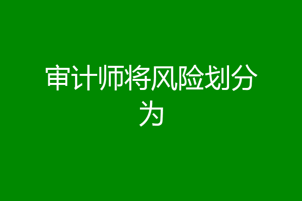 审计师将风险划分为
