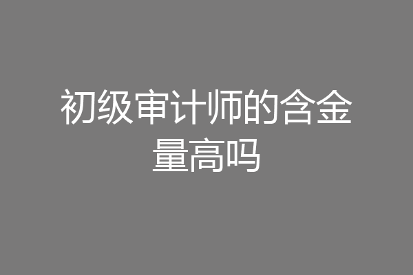 初级审计师的含金量高吗