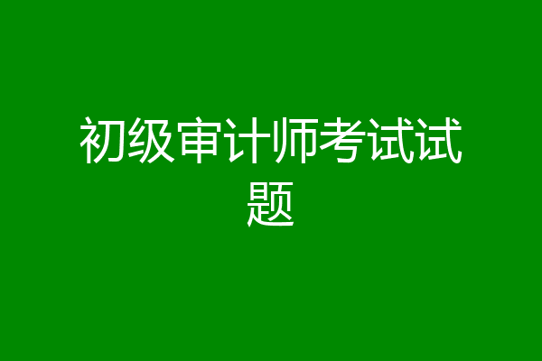 初级审计师考试试题