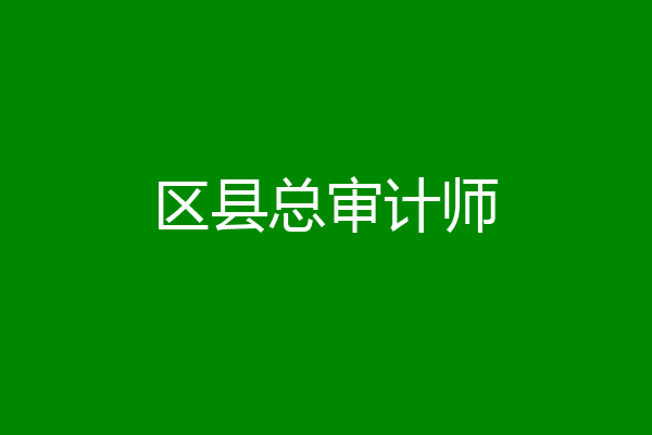 区县总审计师