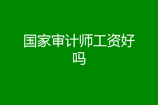 国家审计师工资好吗