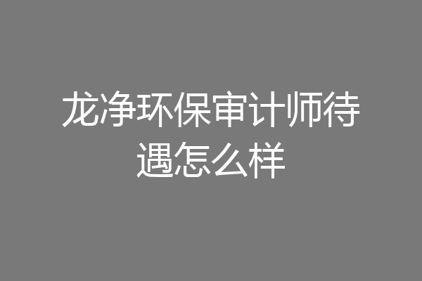 龙净环保审计师待遇怎么样