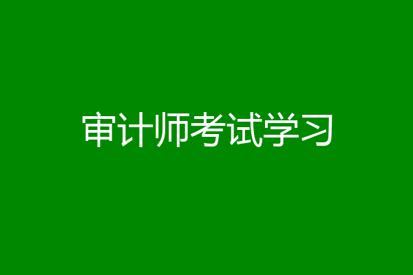 审计师考试学习