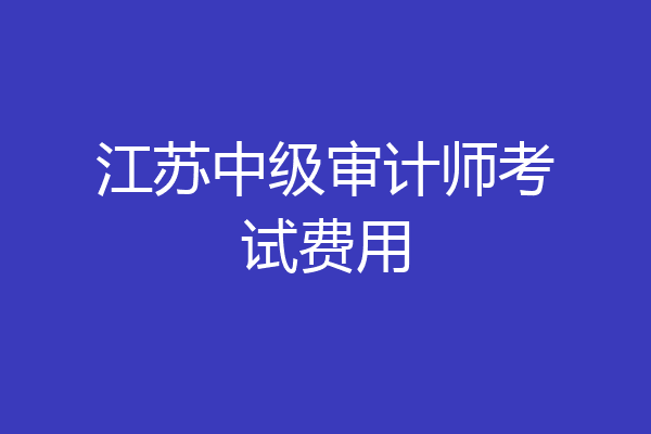 江苏中级审计师考试费用
