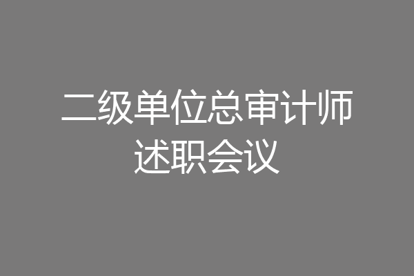 二级单位总审计师述职会议