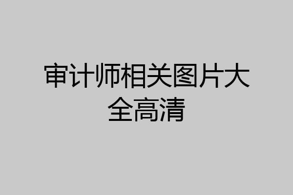 审计师相关图片大全高清