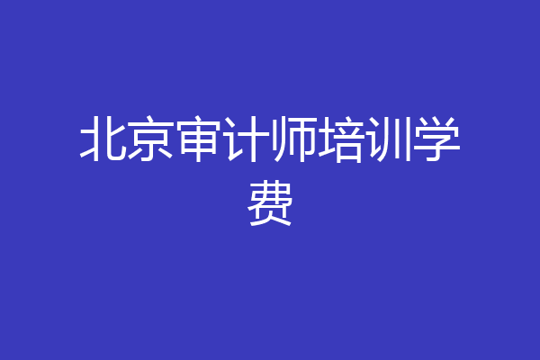 北京审计师培训学费
