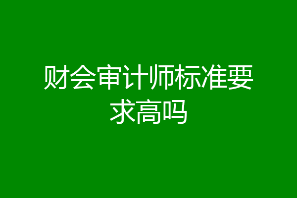 财会审计师标准要求高吗