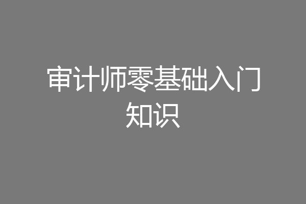 审计师零基础入门知识