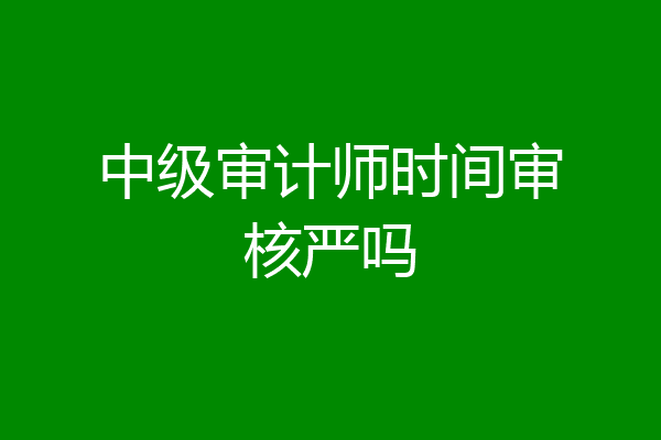 中级审计师时间审核严吗