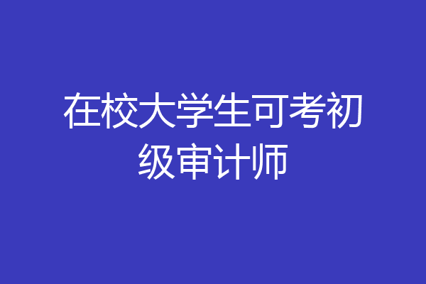 在校大学生可考初级审计师