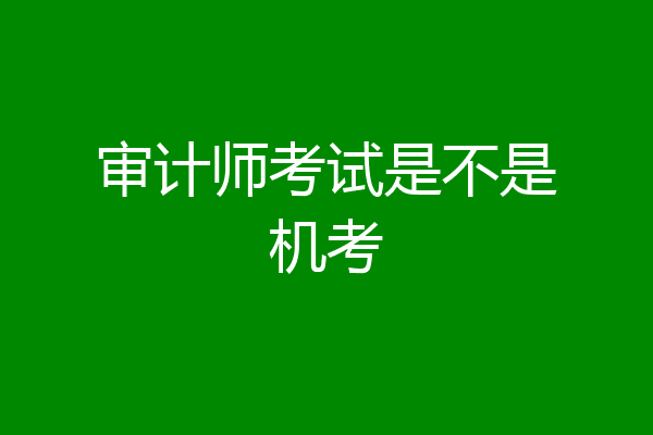 审计师考试是不是机考