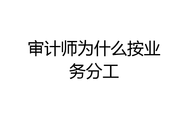 审计师为什么按业务分工