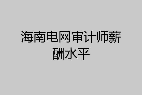 海南电网审计师薪酬水平