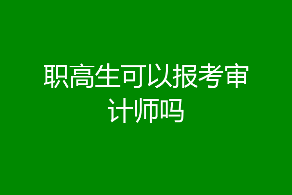 职高生可以报考审计师吗