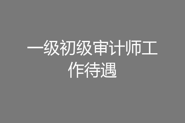 一级初级审计师工作待遇
