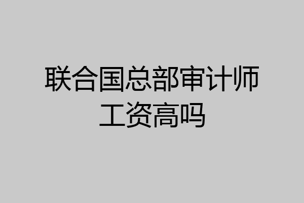 联合国总部审计师工资高吗