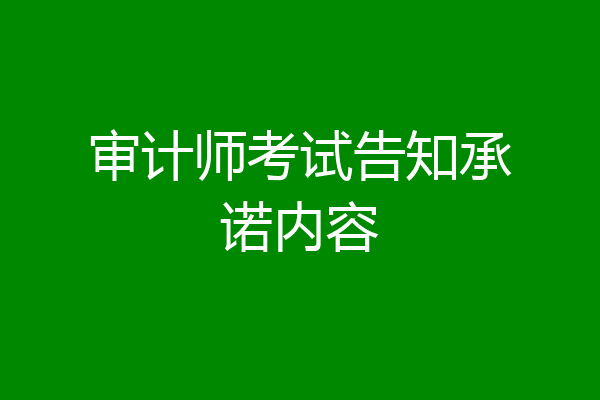 审计师考试告知承诺内容