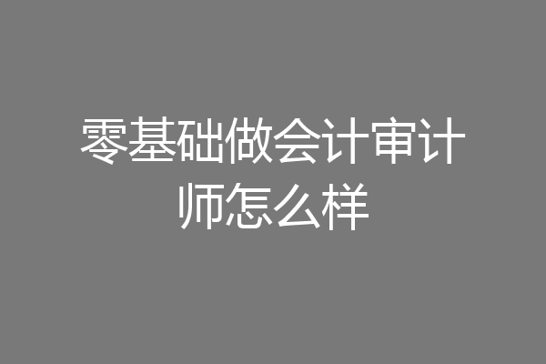 零基础做会计审计师怎么样
