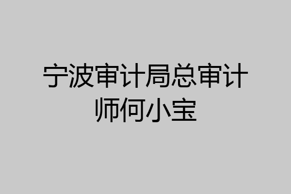宁波审计局总审计师何小宝
