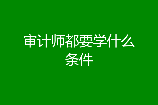 审计师都要学什么条件