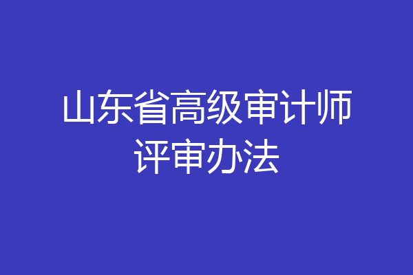 山东省高级审计师评审办法
