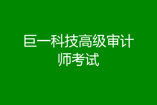 巨一科技高级审计师考试