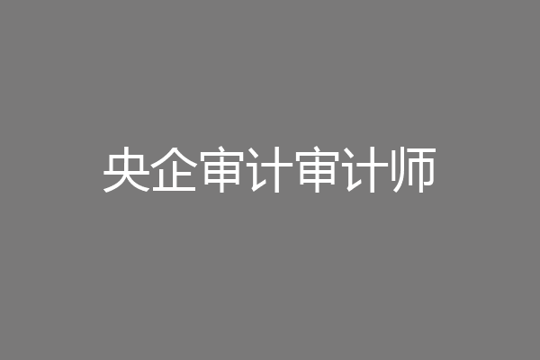 央企审计审计师