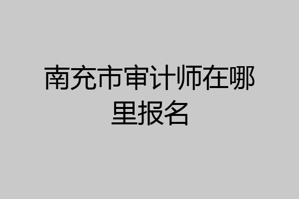 南充市审计师在哪里报名